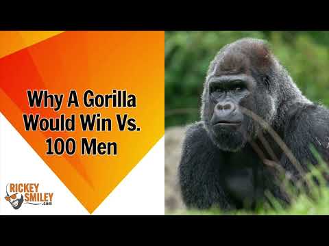 Why A Gorilla Would Win Vs. 100 Men