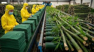 Massive Bamboo Textile Factory: From Harvesting to Finished Fabric screenshot 4