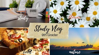 Study Vlog A Day In The Life Of A 9Th Grader Productive Day Study Pen