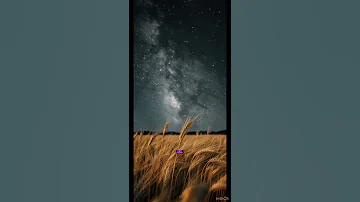 بوی گندم داریوش بوی گندم 