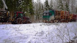 Fully loaded Volvo timber truck stuck in mud, Valtra A93 helps