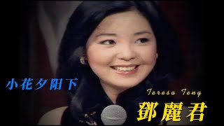 小花夕阳下                                           鄧麗君 Teresa Teng