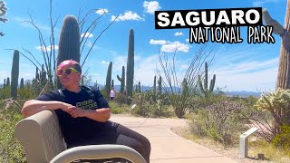 Saguaro National Park | A Guide To Learning More About This Wonderful Park & Easy Trails