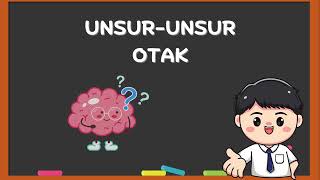 Pembahasan tentang Otak Manusia dan Perbedaan pada Otak Hewan