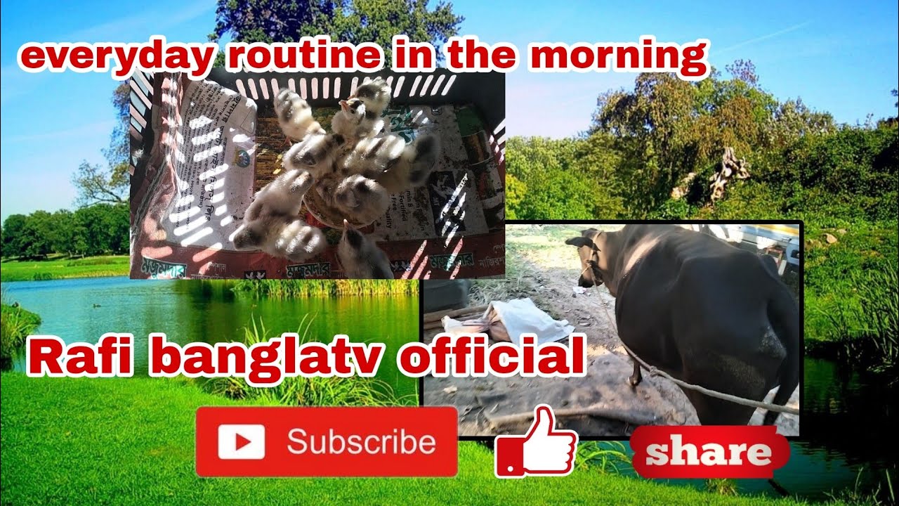 #01 my everyday routine in the morning|Rafi banglatv official - YouTube