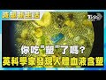 你吃「塑」了嗎? 英科學家發現人體血液含塑｜TVBS新聞 @TVBSNEWS01