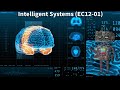 Meeting the Needs of Enterprises Using Intelligent Systems (EC12-01)