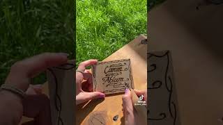 Canım Bacım Resimi