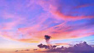 Pueblo Vista - Tokyo Summer Dream (with Lo-Fi Tigers)