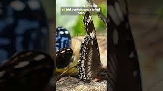 Animals Ke Ajeeb Facts 😳 | Snail Ke 14,000 Teeth! | Nature Ke Weird Secrets #shorts  #facts #animals
