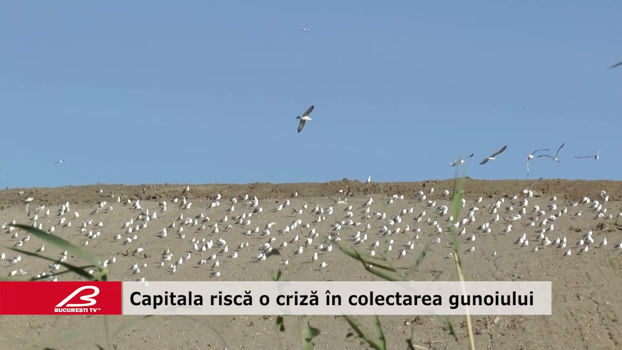 Capitala riscă o criză în colectarea gunoiului
