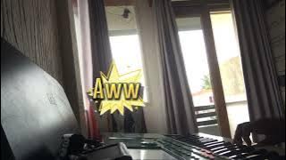 teu indit moal menang duit lagu @ceuimas2142 aransemen zaayanyah