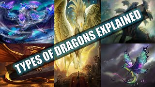 11 Different Types Of Dragons Explained