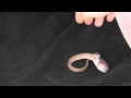 Snake Attacks Hand