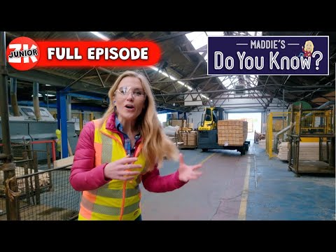 Maddie's Do You Know? | Series 4 Episode 19 | Lamp and Playhouse