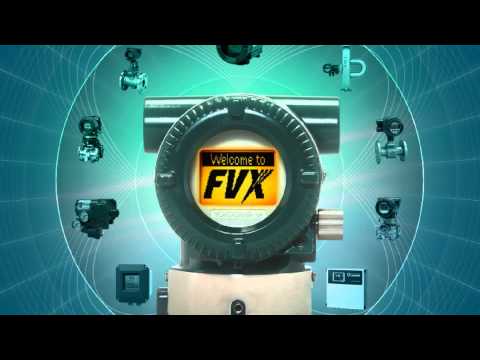 Field Mount Indicators: FVX110 Fieldbus Segment Indicator: Introduction