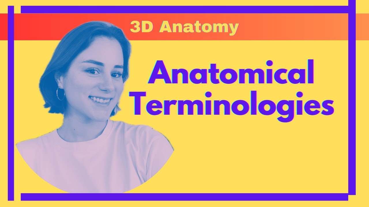 Anatomical Terminologies 3D Anatomy YouTube