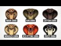 Every SPECIES Of COBRA Explained In 6 Minutes