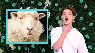 The Mick's Thomas Barbusca Dishes About the WEIRDEST thing he's Eaten!! | Hollywire