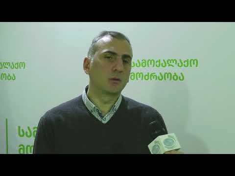 მნიშვნელოვანია ის, რომ ოპოზიციური მხარადჭერა ორჯერ მეტია სახელისუფლოზე - ელისაშვილი NDI-ის კვლევაზე