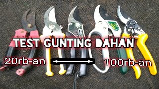 Gunting Dahan Recomended