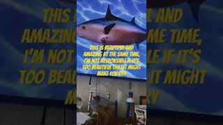 Spongebob Intro Fandub Aidendish Œgid