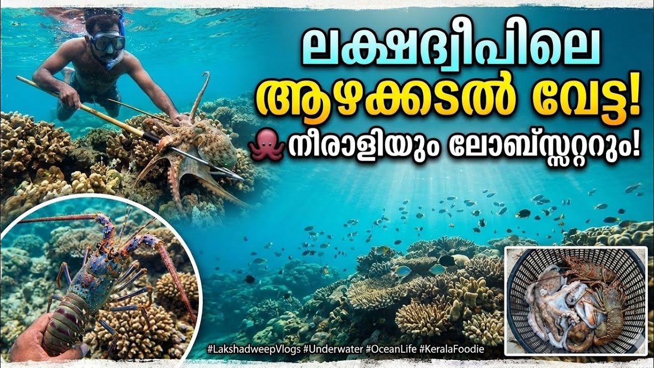 Spear Fishing Malayalam||ലക്ഷദ്വീപിലെ സാഹസിക മീൻപിടുത്തം - #SpearFishing #lakshadweep 
