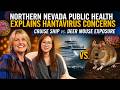 Northern Nevada Public Health Explains Hantavirus Concerns | Cruise Ship vs. Deer Mouse Exposure