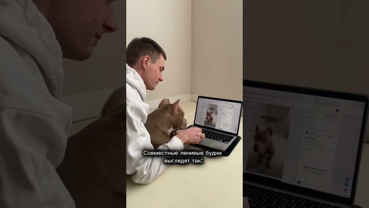 WB: 680909844 OZON: 3208459471 Яндекс Маркет: 4918167415 Сверхпрочный ковер Easy Mat от бренда Dfang