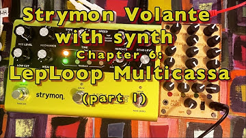 Strymon Volante with synth - Chapter 6: LepLoop Multicassa (part 1)