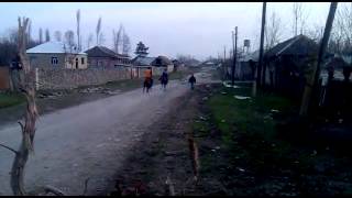 Atbaz Efqan Yorga Atla