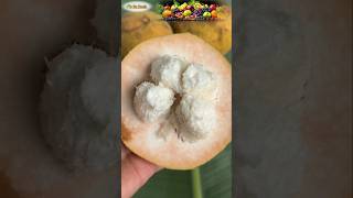 Mouth Watering Fruits 🤩🍊 #shorts #trending #viral #food #explore #drfruit