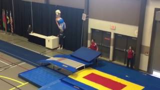 Mitch double mini