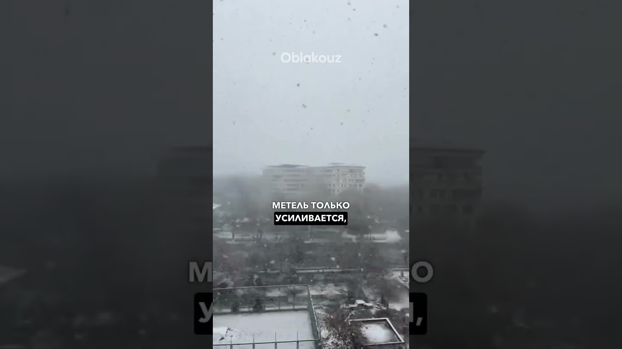 С 8 декабря в Узбекистан входит холодный фронт