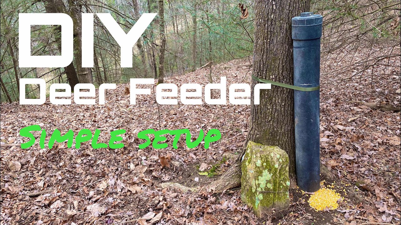 DIY Home Made Deer Feeder Simple Easy Setup YouTube