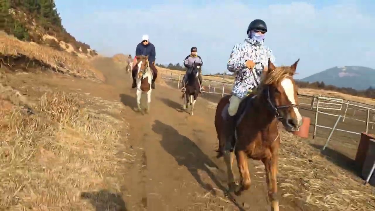 2026.1월 제주 브리더스파크승마장