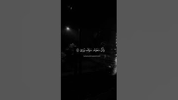 سورة النجم - القارئ شريف مصطفى .