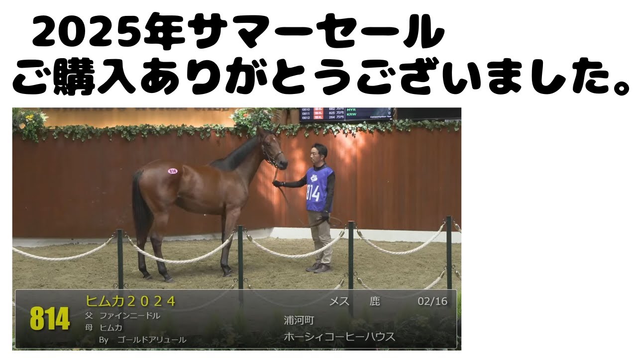 Thank you for the 2025 Summer Sale - YouTube