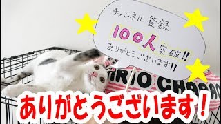 チャンネル登録数100人突破しました！いつもありがとうございます！