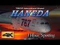 【4K】1Hour! Night view Spotting @HANEDA Airport International terminal