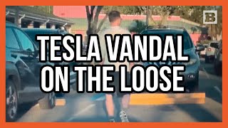 Tesla Vandal on the Loose! Police Searching for Suspect Who Damaged 3 Vehicles