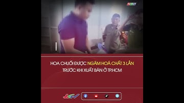 Hoa chuối được ngâm hoá chất 3 lần trước khi xuất bán ở TP.HCM #shortshgtv | THTPCT