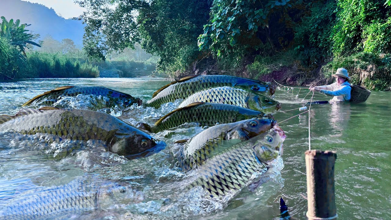 Traditional Fishing Skills - Single Mother Risks Catching Giant Fish in Two Converging Streams