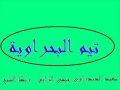 مهرجان كهربا 