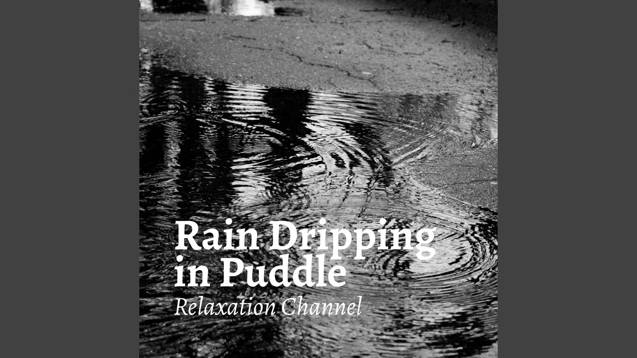 Rain Dripping in Puddle