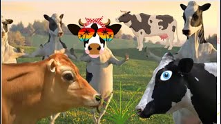 Funny cow dance11 /cow song /cow sound/video2023
