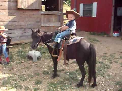 toddler ride on pony