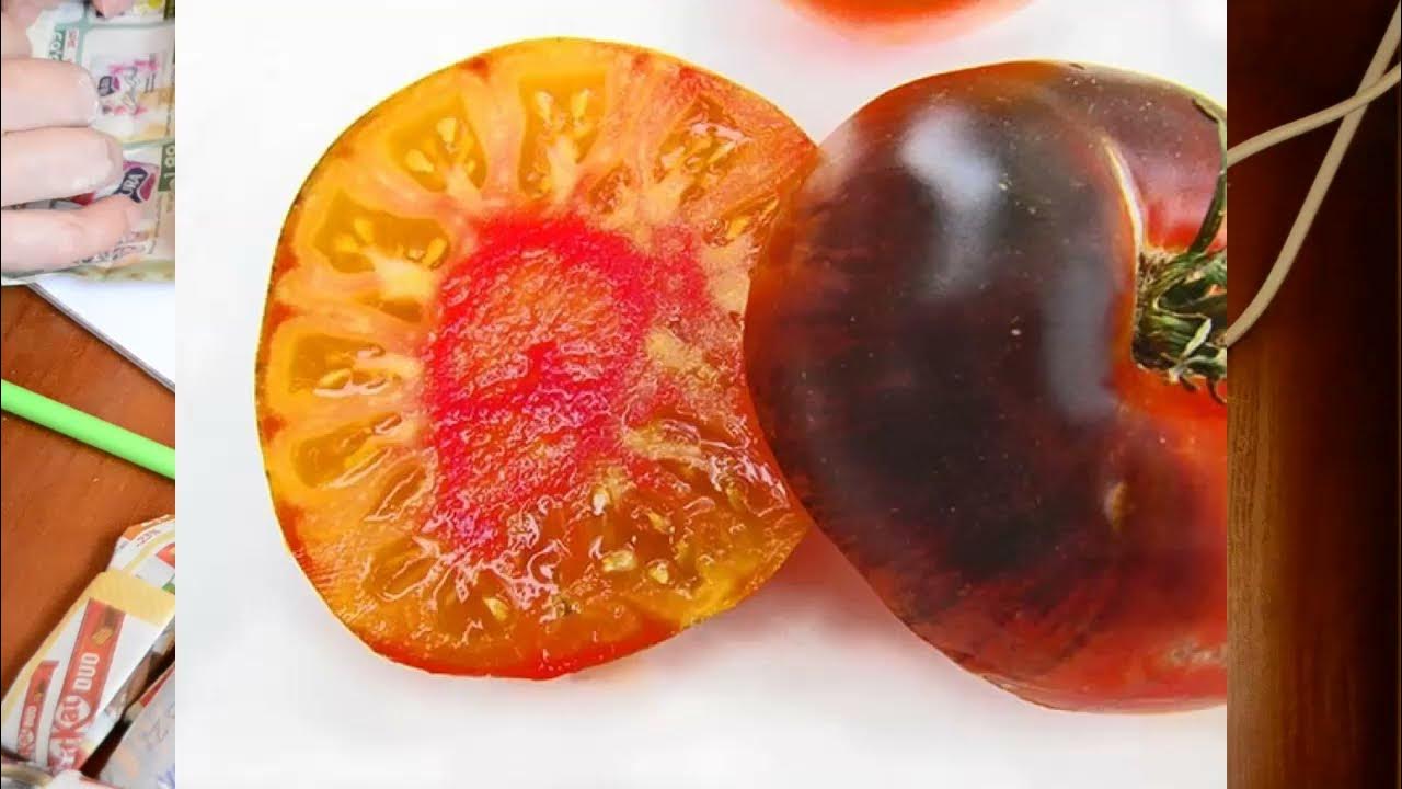 Томат люсид джем описание. Томат сорт люсид джем. Томат люсид джем описание. Томат lucid gem- яркий самоцвет. Томат люсид джем.