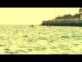 Life as an Expat | Hong Kong | The Dragon Boat Caption