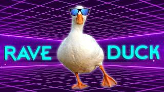 Rave Duck (Quack It Up)
